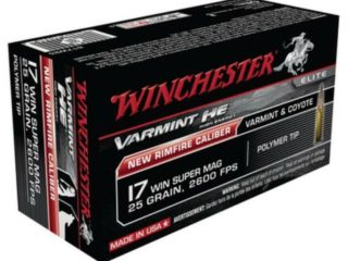 17 wsm ammo