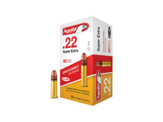 22lr ammo