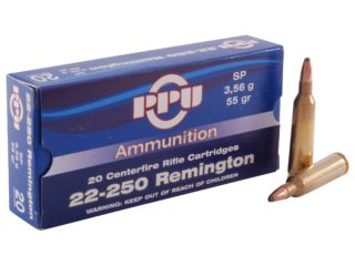 rifle ammo