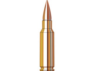 6.5 grendel hornady sst