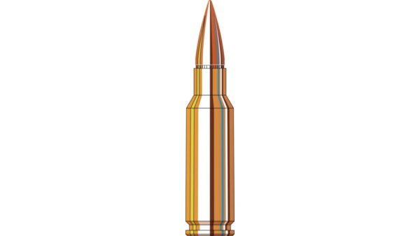 6.5 grendel hornady sst