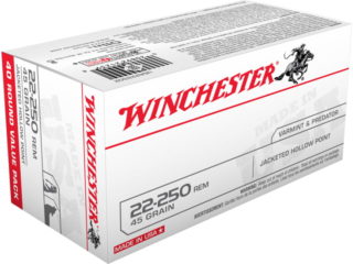 Winchester rifle 22 250